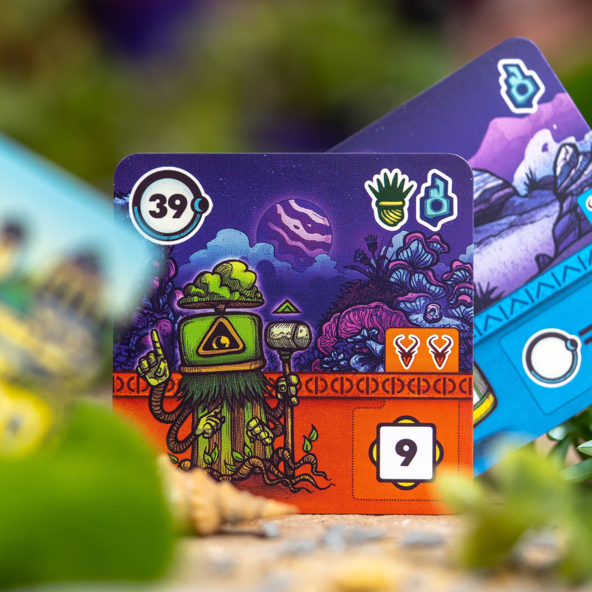 Thumbnail 5